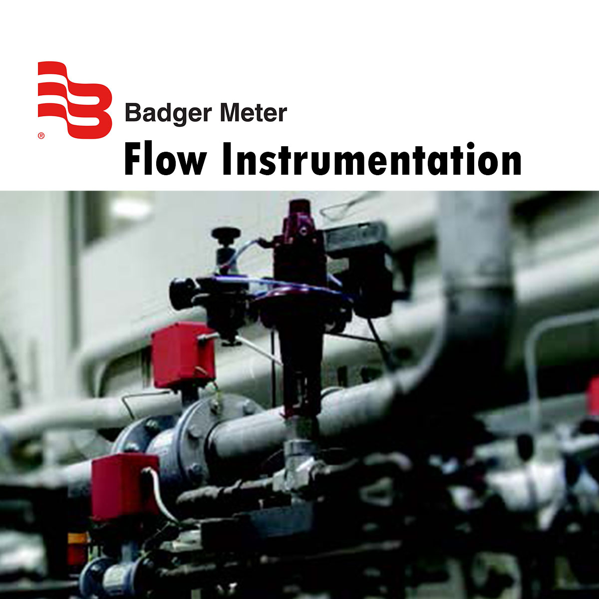 Badger Meter Flow Instrumentation Central California Instruments